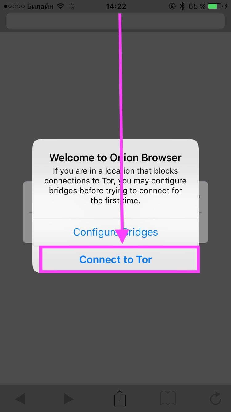 Установить tor browser на iphone mega где хранится кэш tor browser mega