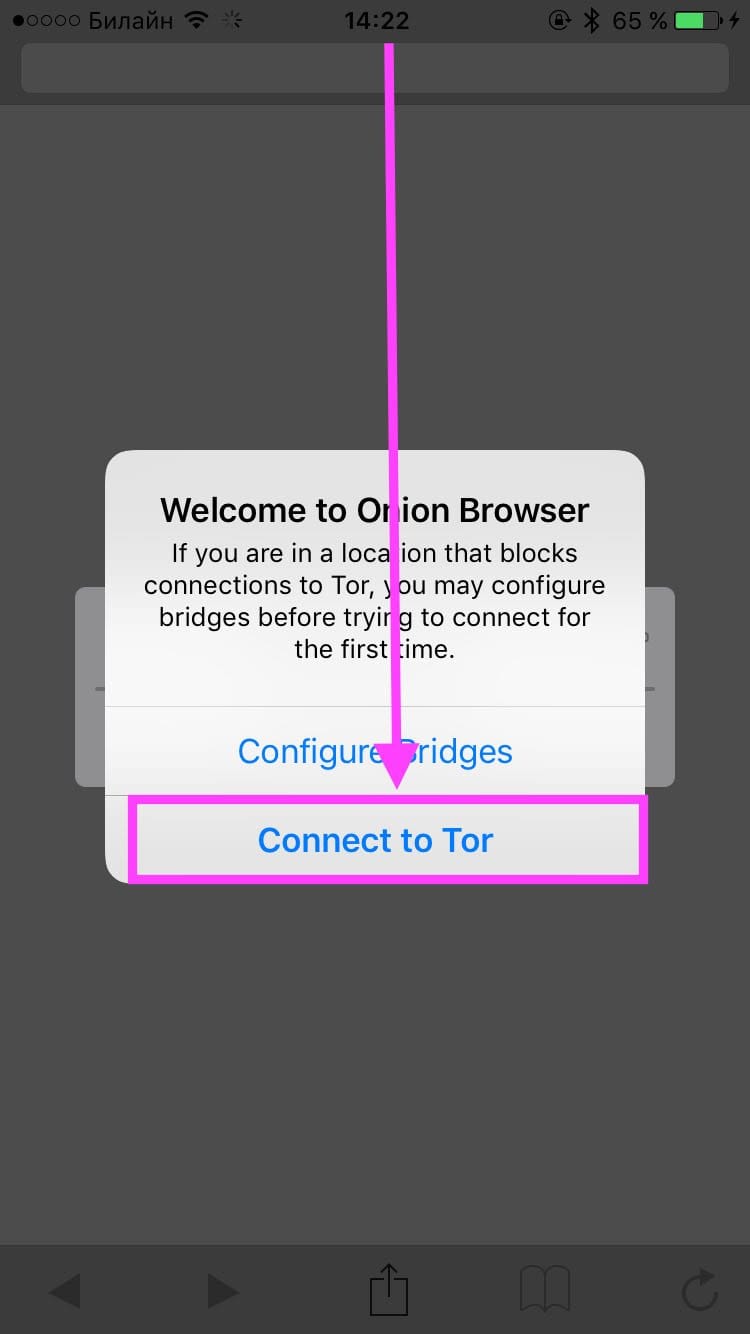 установить tor browser на iphone mega